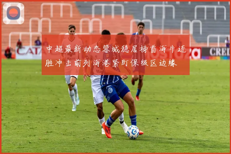 中超最新动态蓉城稳居榜首海牛连胜冲击前列海港紧盯保级区边缘